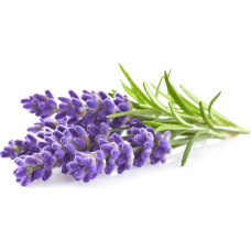 Click & Grow Smart Garden uzpilde Lavanda 3gb. 4742793007472