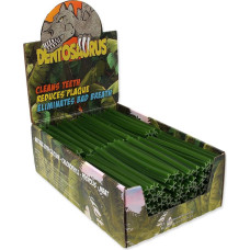Mr. Dental Gardums suņiem – Mr. Dental display dentosaurus stick with chlorophyll S 10 cm 160 gab