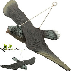 Retoo Baložu putnu biedētājs karājas uz balkona, vanags, piekūns lidojumā