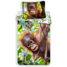 Kokvilnas gultas veļa 140x200 Orangutan 7257 Happy Monkey Palm Lapas Spilvendrāna 70x90
