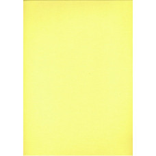 Kokvilnas palags 180x200 citrons S04 vienkrāsains