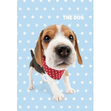 Kokvilnas dvielis 30x50 Dog Beagel kucēns zils 1724