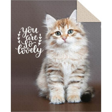 Holandes jauniešu gultas pārklājs 170x210 K 34 sweet Cat kaķēns bēšs brūns abpusējs kaķu dekoratīvs gultai stepēts 1903.g.