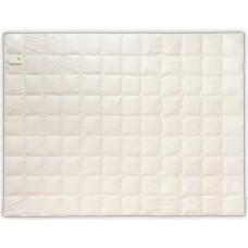 Dūnu sega 90% 200x220 Sudraba vasara 570g balta