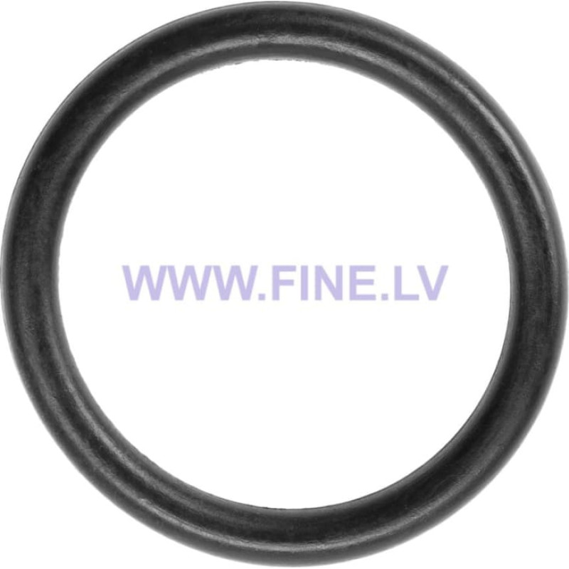 KPP Piston Head O-Ring