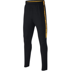 Nike Dry Squad Junior 859297-013 football pants