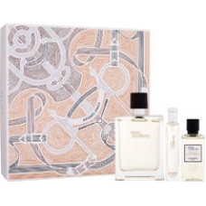 Hermes Terre d'Hermes Gift set EDT 100 ml, miniature EDT 15 ml and shower gel 40 ml