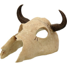 Repti Planet Dekors terārijam | galvaskauss : Repti Planet Buffalo skull 12,5x11,8x8cm