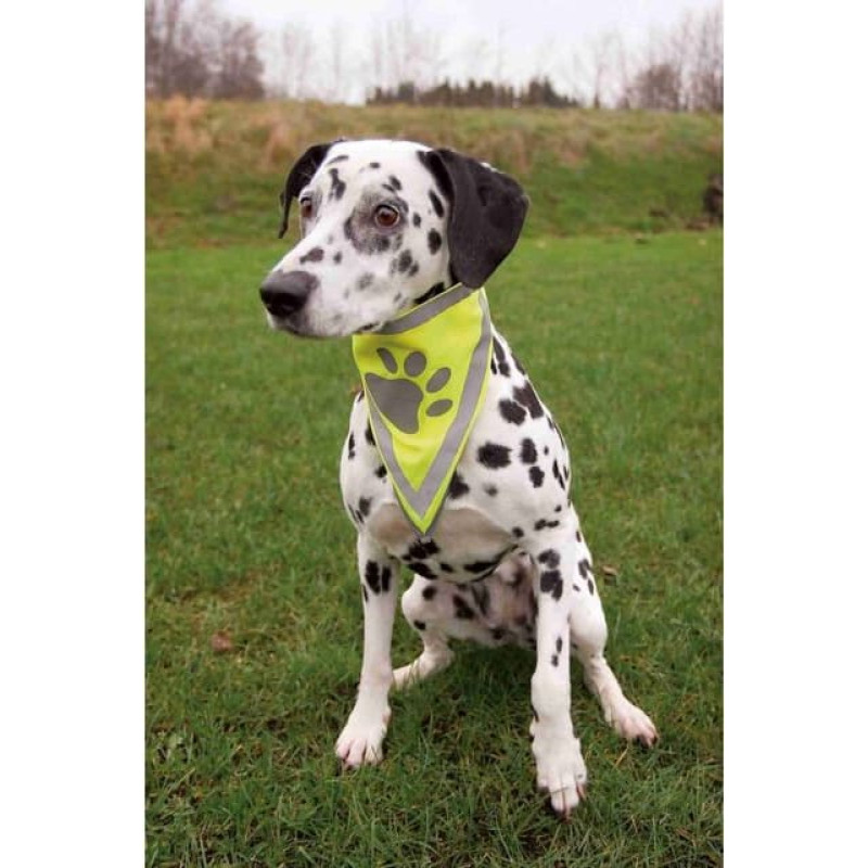Trixie Atstarojo&scaron;s lakats - Trixie Safer Life neckerchief, L&ndash;XL: 43&ndash;60 cm