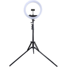 Puluz LED gredzenveida lampa 34,5 cm ar statīva statīvu līdz 1,85 m, spoguli, telefona klipsi, USB