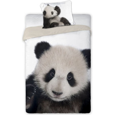 Kokvilnas gultasveļa 140x200 Panda bear 8828
