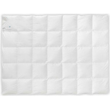 Dūnu sega 70% 200x220 Basic vissezonas 2000g balta