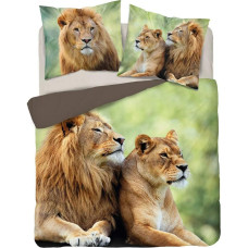 Kokvilnas gultas veļa 220x200 lauva 3728 A 2 spilvendrānas 70x80 Holland Natura 69