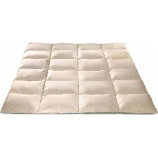 Dūnu sega 140x200 1,6 kg ekru lētākais