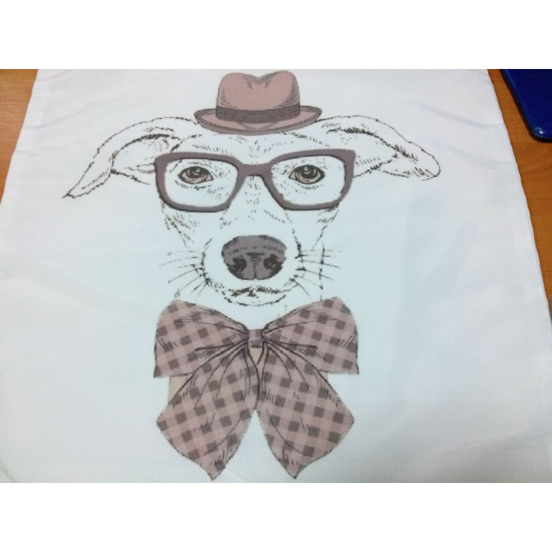 Balta dekoratīvā spilvendrāna 45x45 Cleo 02 Suns cepurē