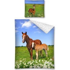 Jauniešu pakaiši 160x200 Zirgi pļavā 2640, abpusēji