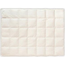 Dūnu sega 90% 200x220 Sudraba silta 1800g balta
