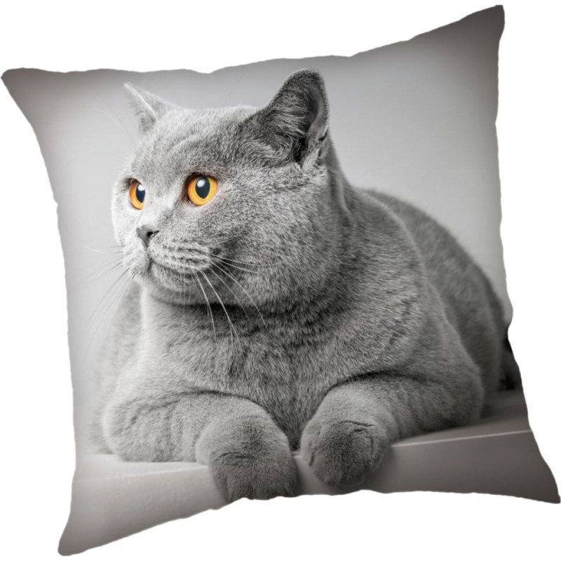 Bērnu spilvendrāna 45x45 Kaķu pelēka JF24