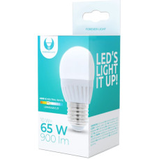 Forever Light LED bulb E27 G45 10W 230V 4500K 900lm ceramic Forever Light
