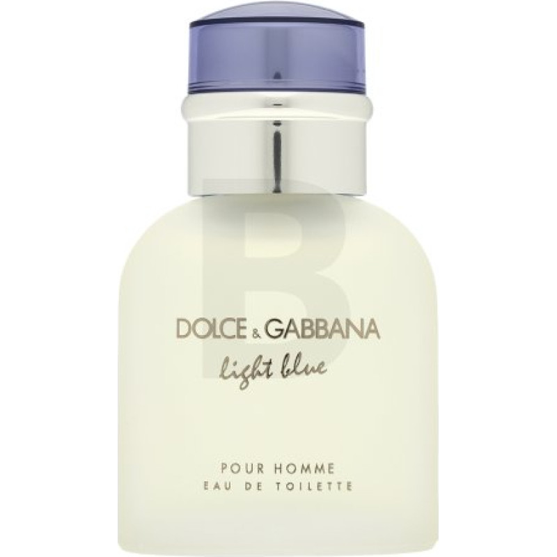 Dolce & Gabbana Light Blue Pour Homme Tualetes ūdens vīriešiem 40 ml