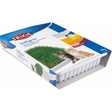 Trixie Zāle kaķēniem : Trixie Bio Cat Grass (bowl), 100 g