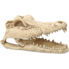 Repti Planet Dekors terārijam : Repti Planet Crokodil skull 13,8x6,8x6,5cm