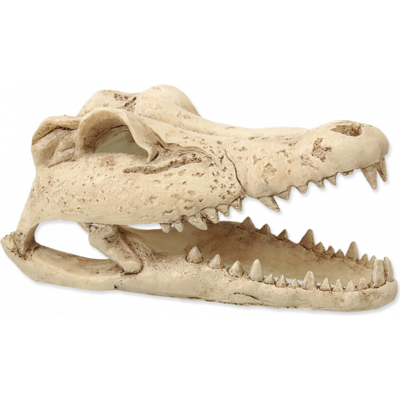 Repti Planet Dekors terārijam : Repti Planet Crokodil skull 13,8x6,8x6,5cm