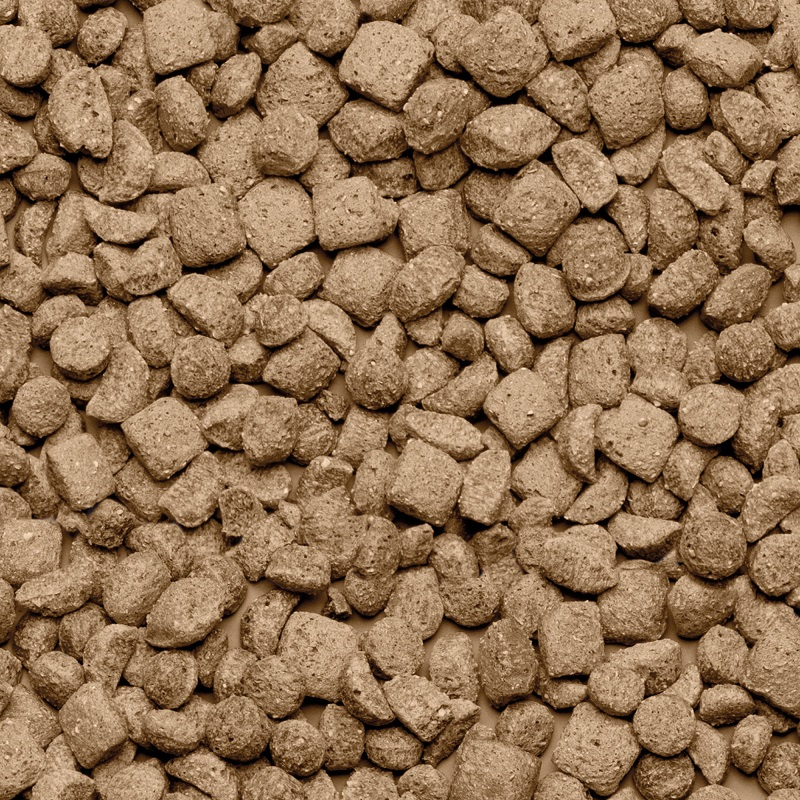 Beaphar Barība mājas žurkām - Beaphar Care+ Rat, 1.5 kg