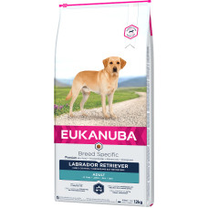 Eukanuba Sausa barība suņiem - Eukanuba Adult Labrador Retriever, 12 kg