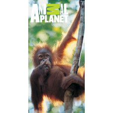 Animal Planet dvielis 75x150 C Monkey 5262