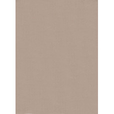 Satīna palags 200x220 bēšs 40009
