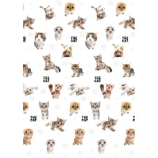 Kokvilnas palags 140x200 Cats Cats The Cat