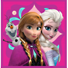 Burvju dvielis 30x30 Frozen Frozen B 0405 Anna Elsa Olaf Princeses