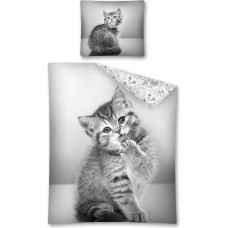 Jauniešu gultasveļa 160x200 Grey Cat 2637, abpusēja