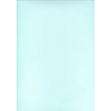 Kokvilnas palags 200x220 mint gaišs 16 vienkrāsains