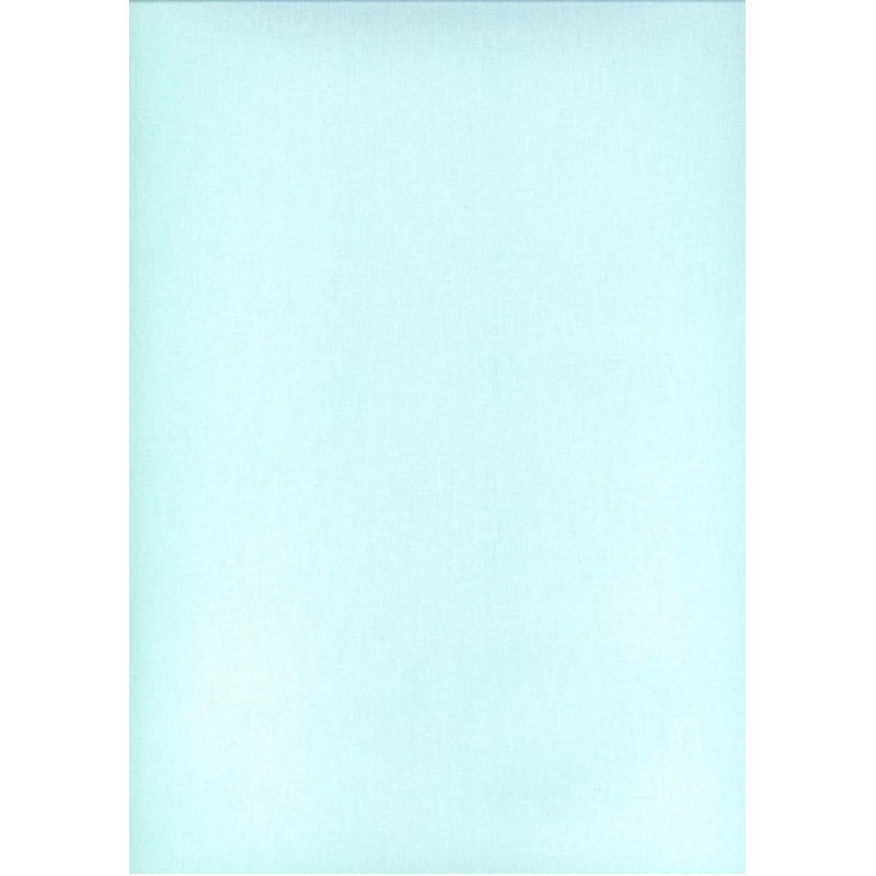 Kokvilnas palags 200x220 mint gaišs 16 vienkrāsains