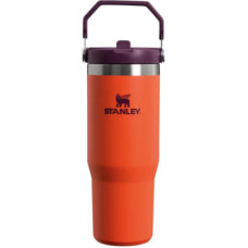 Stanley Termopudele ar salminu The IceFlow Flip Straw Tumbler 0 89L oranza 2809993314