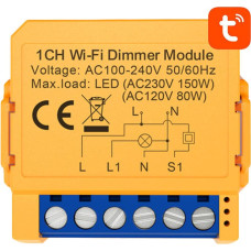 Smart socket switch WiFi Avatto DMS16-2 TUYA