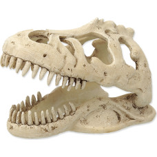 Repti Planet Dekors terārijam : Repti Planet T:REX skull 13,3x8,5x9cm