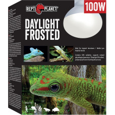 Repti Planet Spuldze terārija lampai : Repti Planet Bulb Daylight Frosted 100W