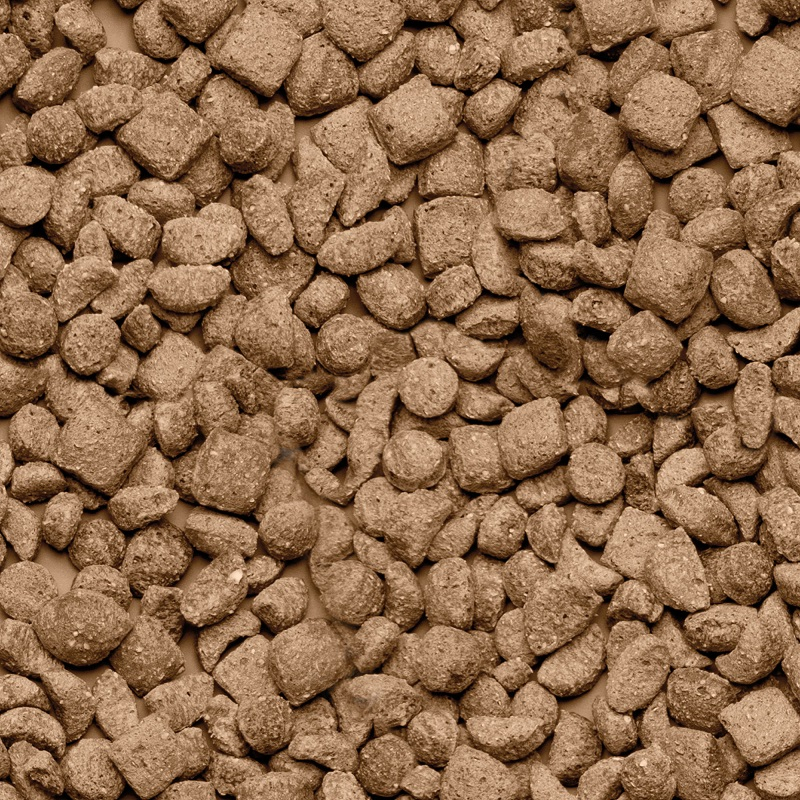 Beaphar Bar­ība kāmjiem - Beaphar Care+ Hamster, 250 gr
