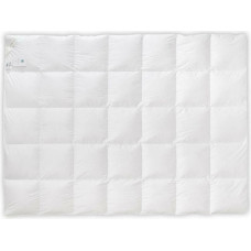 Dūnu sega 100% 180x200 Royal silta 830g balta