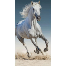 Pludmales dvielis 70x140 Horse 0401 balts kokvilnas galopā