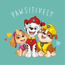 Burvju dvielis 30x30 cm Paw Patrol dogs mint Magic