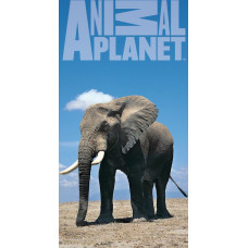 Animal Planet dvielis 75x150 C Elephant 5255