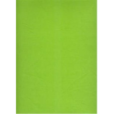 Kokvilnas palags 180x200, salāti S29, vienkrāsains