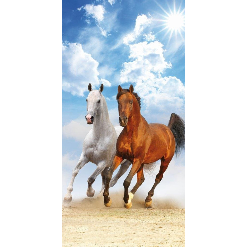 Pludmales dvielis 70x140 Dizains 05 Zirgi auļo pludmalē 1335 kokvilna