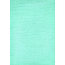 Kokvilnas palags 160x200, seladons S12, vienkrāsains