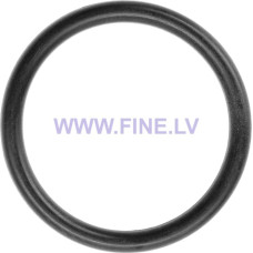 WE 17 Part No. G-69 O-Ring