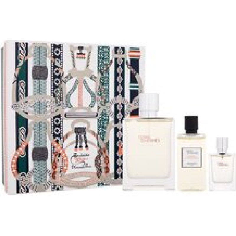 Hermes Terre d´Hermes Eau Givre Gift set EDP 100 ml, shower gel 80 ml and miniature EDP 12,5 ml